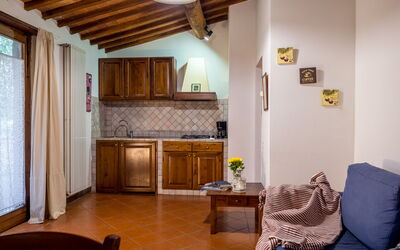 Alloggio:&nbsp;Olivi