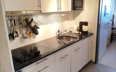 Alloggio:&nbsp;Apt C 031 100.63