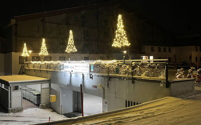 Disentis 100