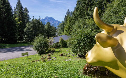 Les Hespérides 2: Paesaggio, Pascolo, Catena Montuosa, Hill Station, Corno, Prato, Larice, Valle