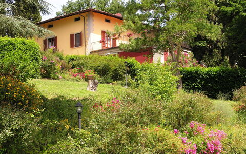 Villa i Cedri: Vegetazione, Proprietà, Giardino, Casa, Paesaggio Naturale, Botanica, Immobiliare, Area Rurale, Pianta, Arbusto