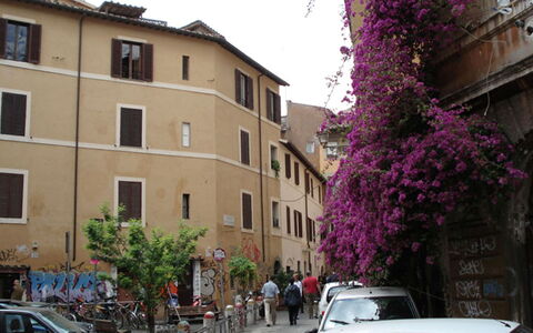 Diamonds & Rust: Quartiere, Zona Residenziale, Cittadina, Costruzione, Proprietà, Appartamento, Veicolo, Architettura, Strada, Immobiliare