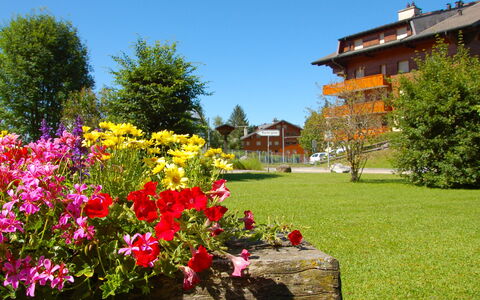 Villars 125: Fiore, Natura, Giardino, Pianta, Primavera, Albero, Cielo, Erba, Botanica, Casa