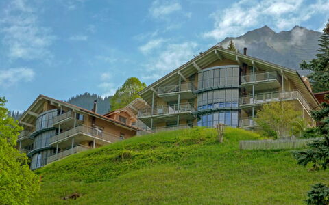 Wengen 62: Proprietà, Casa, Casa, Vegetazione, Paesaggio Naturale, Immobiliare, Costruzione, Lotto, Hill Station, Architettura