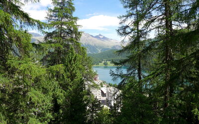 St. Moritz 131