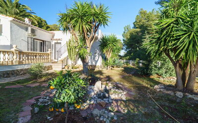 El Palmeral
