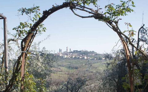 Agriturismo Paterno: Albero, Arco, Pianta, Architettura, Woody Impianto, Erba, Ramo, Paesaggio, Roccia