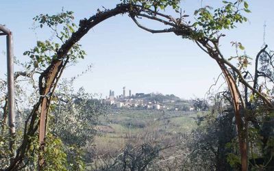 il panorama dal giardino