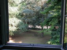 Vista del giardino dalla casa