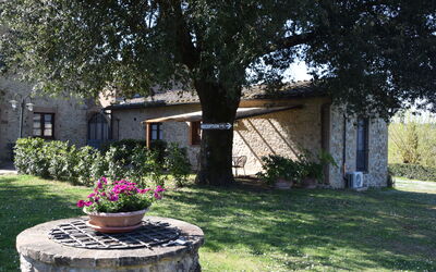 rocche-di-valiano-chianti-castelnuovo-berardenga-multiproprietà-mimosa-giardino