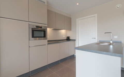Solis with Balcony: Cabinetry, Controsoffitto, Proprietà, Lavello, Costruzione, Cucina Stufa, Rubinetto, Elettrodomestico Da Cucina, Cucina, Legna