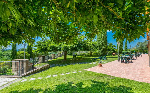 Il Casale: Pianta, Foglia, Shade, Botanica, Paesaggio Naturale, Lotto, Vegetazione, Albero, Erba, Urban Design