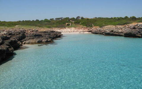 Fonoll Mari: Corpo D'Acqua, Mare, Acqua, Risorse Idriche, Costa, Costiera E Morfologie Oceanic, Turchese, Baia, Ansa, Baia
