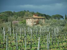 Alloggio:&nbsp;Villa Margherita