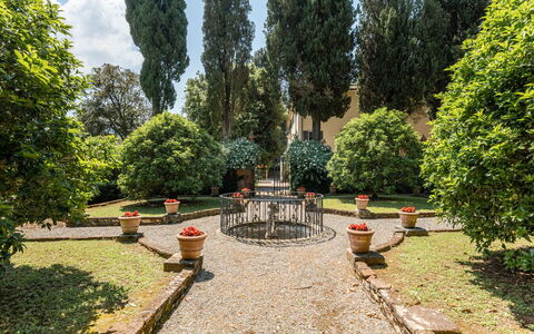 Villa de Ranieri: Pianta, Manto Stradale, Albero, Paesaggio Naturale, Erba, Woody Impianto, Sempreverde, Tempo Libero, Groundcover, Strada