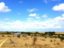 Swordfish Villas In Malindi