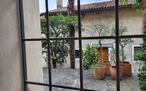 Dumont: Pianta, Costruzione, Cielo, Finestra, Vaso Di Fiori, Vegetazione, Zona Residenziale, Immobiliare, Facciata