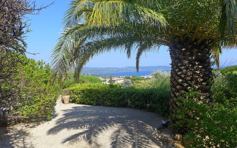 Villa Micheline: Vegetazione, Proprietà, Albero, Ambiente Naturale, Cielo, Immobiliare, Riserva Naturale, Erba, Botanica, Casa