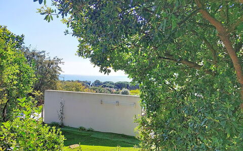 Villa Chantoiseau: Blu, Giorno, Foglia, Verde, Ramo, Vegetazione, Arbusto, Lotto, Giardino, Shade