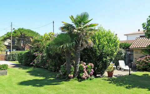 La Poste: Proprietà, Albero, Giardino, Immobiliare, Cortile, Pianta, Lotto, Casa, Prato, Erba
