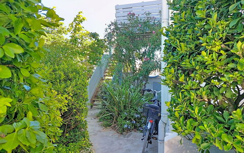 Mimizan 314: Verde, Foglia, Arbusto, Luce Del Sole, Woody Impianto, Shade, Giardino, Hedge, Sempreverde, Passerella