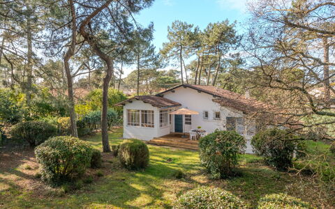 Les Bruyères: Albero, Ramo, Casa, Vegetazione, Arbusto, Casa, Villetta, Zona Residenziale, Tetto