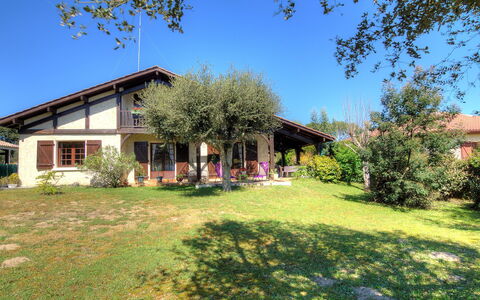 Faisans: Pianta, Cielo, Costruzione, Finestra, Paesaggio Naturale, Botanica, Albero, Lotto, Vegetazione, Shade