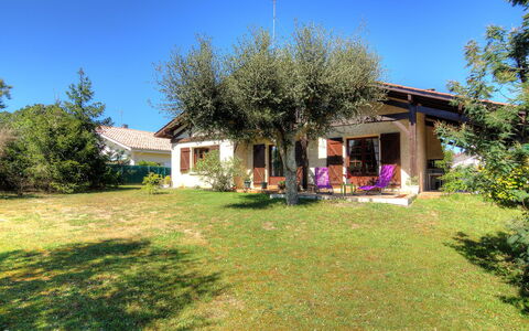 Faisans: Pianta, Cielo, Costruzione, Proprietà, Finestra, Albero, Shade, Casa, Lotto, Paesaggio Naturale