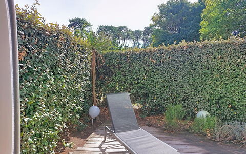 Artémis: Arbusto, Hedge, Groundcover, Giardino, Shade, Sempreverde, Backyard, Erba