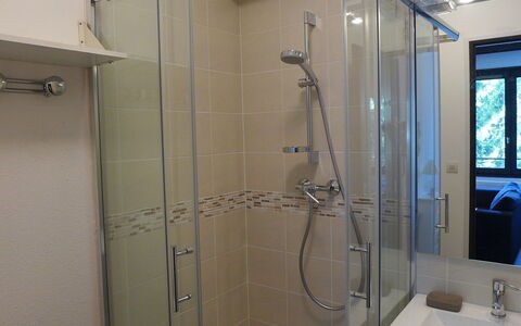 Le Cristal des Glaces: Soffione Doccia, Doccia Porta, Idraulico Fixture, Lavello, Doccia Bar, Doccia, Bagno, Specchio, Pannello Doccia