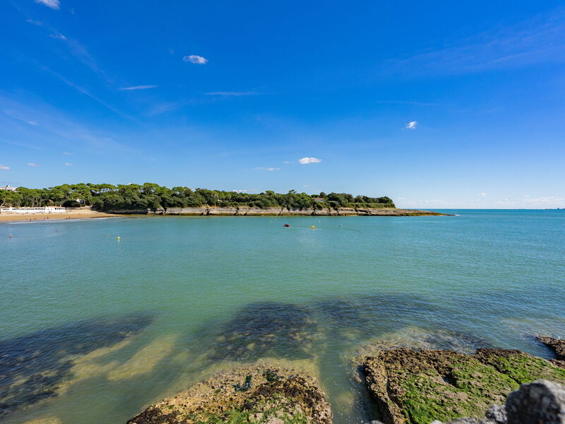 Les Adichats
