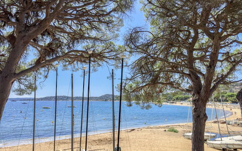 Le Mas D'Esquière 5: Acqua, Cielo, Pianta, Shade, Albero, Ramo, Paesaggio Naturale, Spiaggia, Costiera E Morfologie Oceanic, Legna