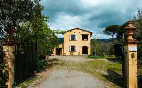 Collina dei Fiori: Cielo, Nube, Pianta, Finestra, Costruzione, Lotto, Albero, Erba, Paesaggio, Area Rurale