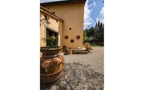 Collina dei Fiori: Pianta, Proprietà, Vaso Di Fiori, Finestra, Cielo, Nube, Costruzione, Divano, Pianta Della Casa, Legna