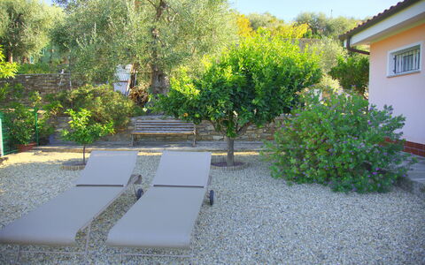 Casa Ilaria - Diano Marina: Proprietà, Vegetazione, Cortile, Giardino, Immobiliare, Backyard, Casa, Albero, Botanica, Paesaggio