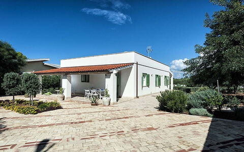 Bianca: Arbusto, Zona Residenziale, Casa, Tetto, Groundcover, Giardino, Shade, Estate, Landscaping