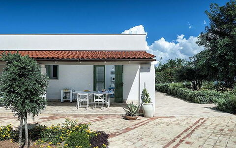 Bianca: Casa, Casa, Arbusto, Zona Residenziale, Facciata, Tetto, Giardino, Porta, Vaso Di Fiori