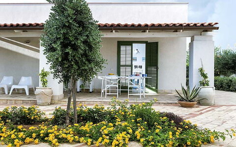 Bianca: Arbusto, Giardino, Shade, Vaso Di Fiori, Landscaping, Cortile, Pianta Della Casa, Cortile, Backyard