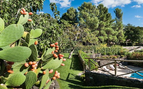 Eden Retreat: Nube, Pianta, Cielo, Comunita 'Impianto, Botanica, Foglia, Vegetazione, Albero, Paesaggio Naturale, Biome