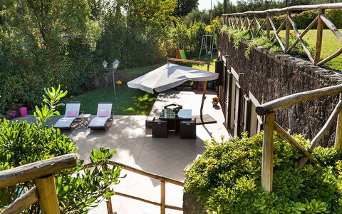 Eden Retreat: Pianta, Comunita 'Impianto, Botanica, Albero, Vegetazione, Lotto, Mobili Da Esterno, Erba, Shade, Biome