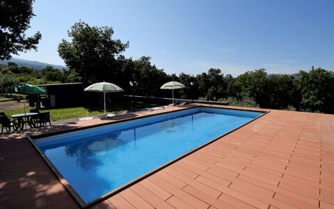 Serena: Piscina, Proprietà, Immobiliare, Casa, Casa, Tempo Libero, Costruzione, Zona Residenziale, Backyard, Estate