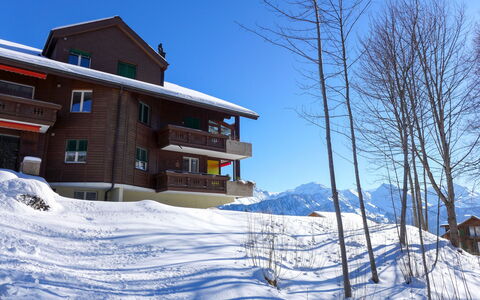 Rehli: Inverno, Proprietà, Pendenza, Casa, Congelamento, Costruzione, Casa, Immobiliare, Neve, Tetto