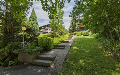 Rehli: Verde, Arbusto, Giardino, Groundcover, Le Scale, Primavera, Passerella, Landscaping, Prato, Cortile