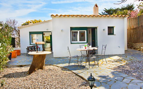 Mimosa: Cielo, Nube, Pianta, Costruzione, Proprietà, Finestra, Bianca, Azzurro, Porta, Casa