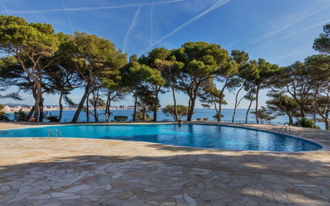 St Antoni de Calonge 250: Acqua, Cielo, Nube, Pianta, Piscina, Albero, Shade, Arecales, Tempo Libero, Paesaggio