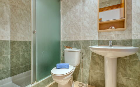 Benvinguts: Bagno, Proprietà, Camera, Verde, Piastrella, Parete, Rubinetto, Interior Design, Architettura, Bagno Accessorio