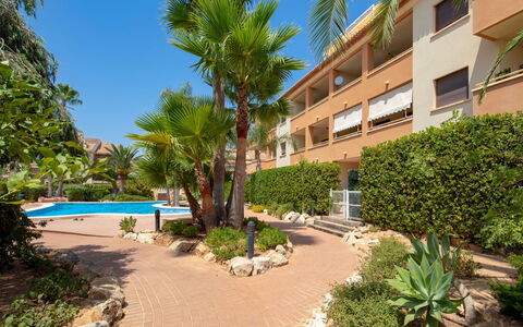 Benvinguts: Proprietà, Immobiliare, Ricorrere, Albero, Costruzione, Appartamento, Casa, Palma, Pianta, Vacanza