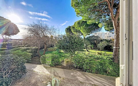 Port Royal - Corvette: Blu, Foglia, Verde, Natura, Vegetazione, Ramo, Arbusto, Comunita 'Impianto, Giardino, Primavera
