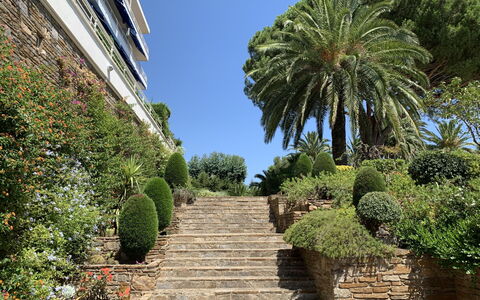 Cavalaire 279: Vegetazione, Albero, Giardino, Proprietà, Palma, Botanica, Giardino Botanico, Cielo, Arecales, Pianta