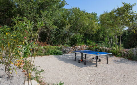 Debora: Vegetazione, Riserva Naturale, Proprietà, Paesaggio Naturale, Tavolo, Albero, Botanica, Comunita 'Impianto, Giardino, Immobiliare